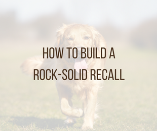 How to Build a Rock-Solid Recall