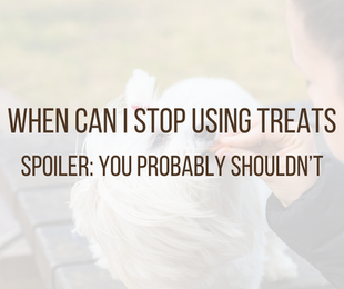 When can i stop giving my dog treats