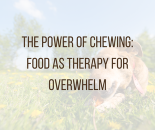 Dog chewing on a natural treat to support emotional regulation and reduce overwhelm.