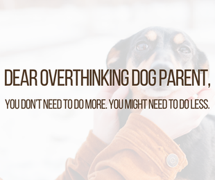 overthinking dog parent