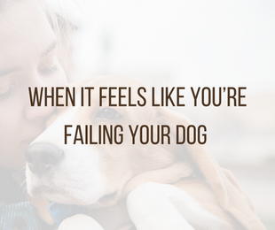 When It Feels Like You’re Failing Your Dog (But You’re Not)