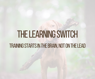 The Learning Switch: Training Starts in the Brain, Not on the Lead