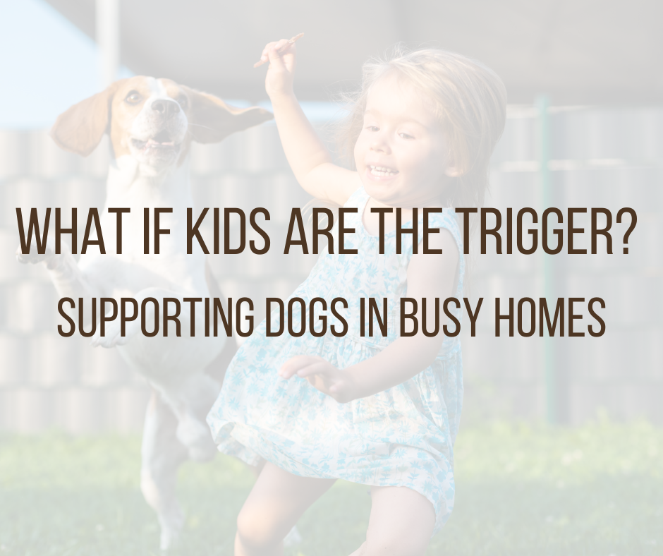 What if Kids Are the Trigger? Supporting Dogs in Busy Homes