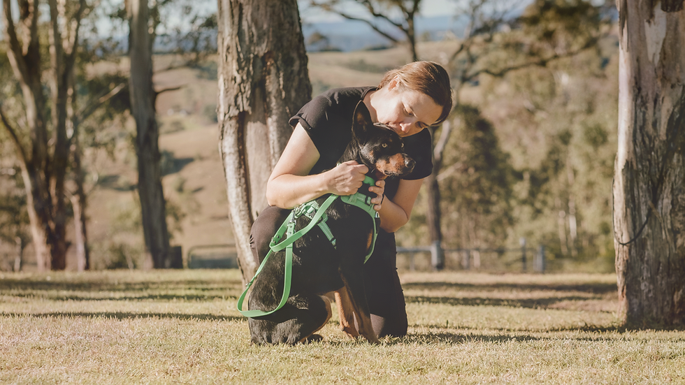 Is your dog a little woo?