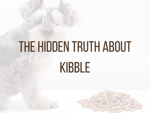 The Hidden Truth About Kibble: What’s Really in Your Dog’s Bowl?