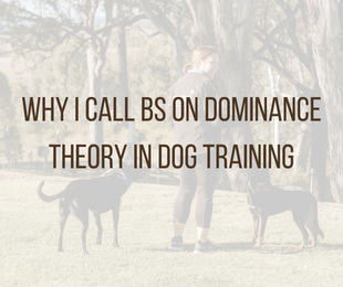 Why I Call BS on Dominance Theory in Dog Training