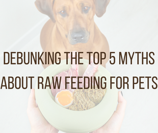 Debunking the Top 5 Myths About Raw Feeding for Pets