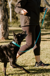 Alt Text: Hills and surrounding areas