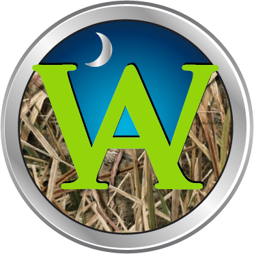 Erica Clark_Logo3_Neon Green.png
