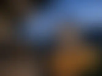 Are Bats Dangerous Around Your Columbia Home?