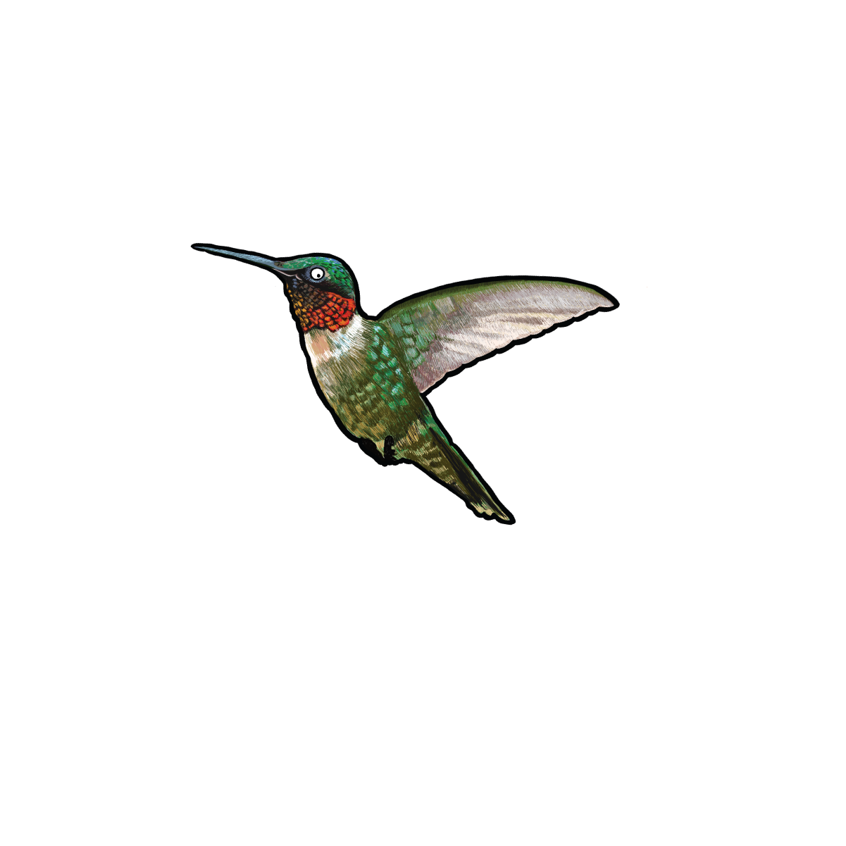 Hummingbird