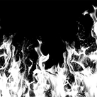 Fire Transparent