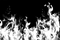 Fire Transparent