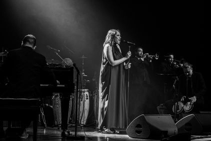pinkmartini84.jpeg
