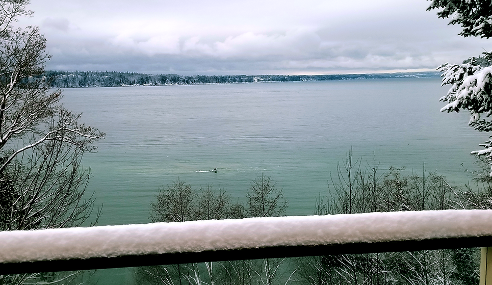 20221220_162111 (2025-04-30T22_27_51.858) (1).jpg