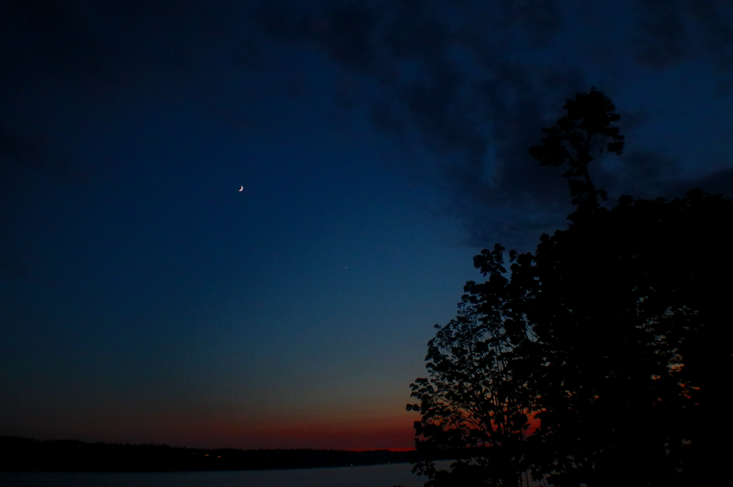 IMG_1916 (2026-02-12T06_36_50.511) (2026-02-12T06_39_17.739) (1).JPG