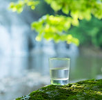 glass of clean water sitting on a rock outside under a tree.