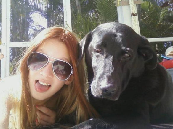 Diabetes and The Damn Dog