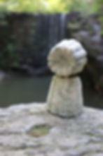 Miniature : Shampoing cheveux gras