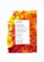 SYKOROVA ART – Revoluce collage