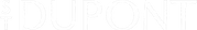 ST DUPONT NOIR_edited.png