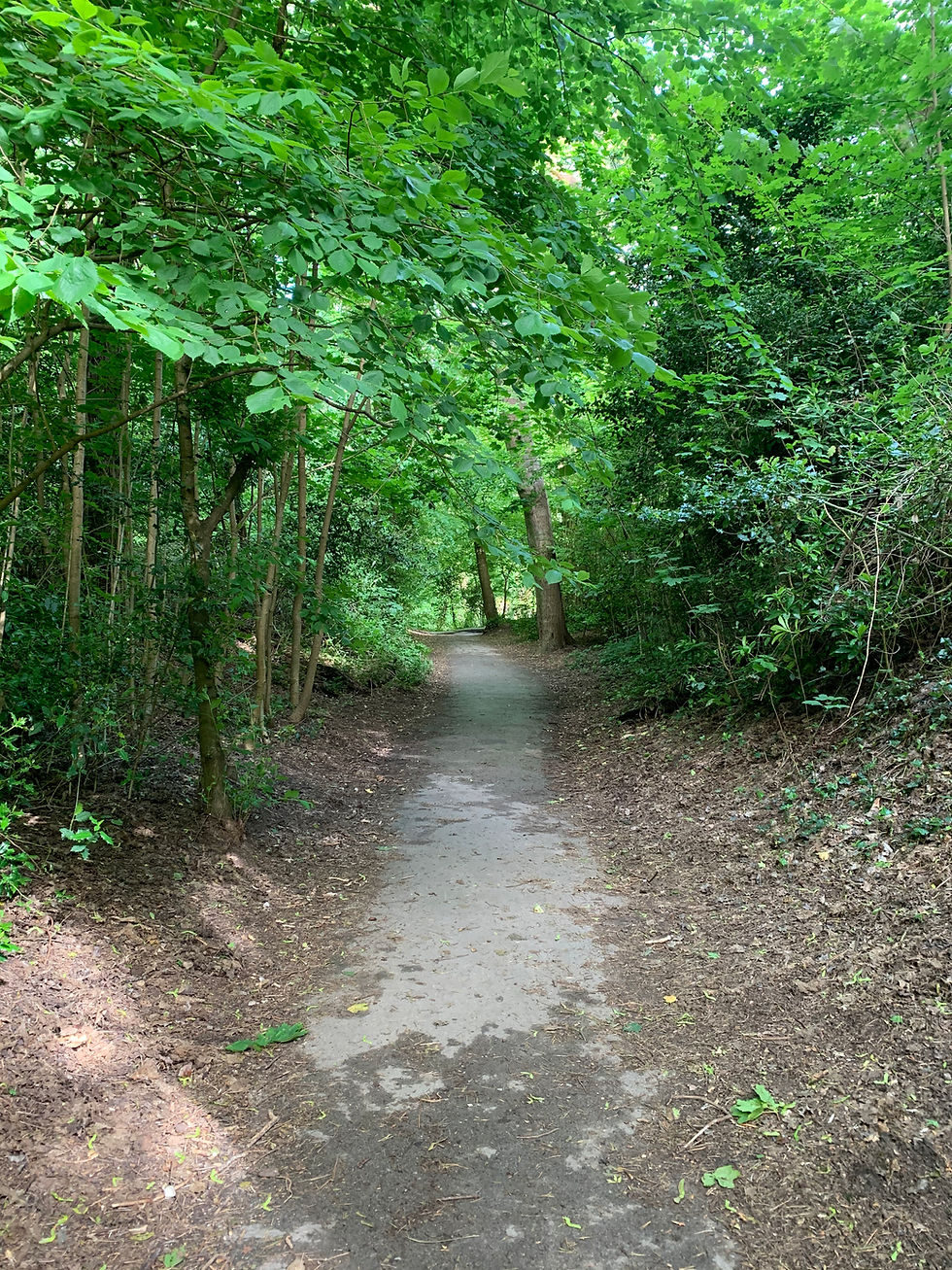 Hosting mental health swim uk