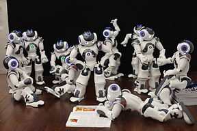 NAO Reading Group png.png