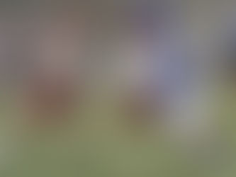 France-Canada joue à la crosse