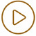 Play Icon