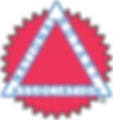 National_Notary_Association-logo-D56521AD68-seeklogo.com.png