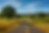 Amador County - website homepage image.png