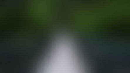 Navigating The Growth Crucible, Article 1