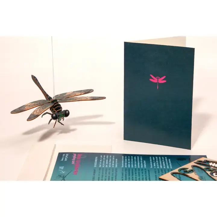 Miniature : Carte 3D à monter "Libellule" Formes.