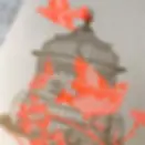 Carte postale oiseaux fluo et cage bronze risographiée