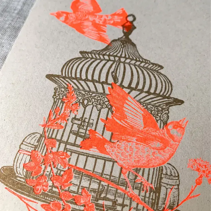 Carte postale oiseaux fluo et cage bronze risographiée