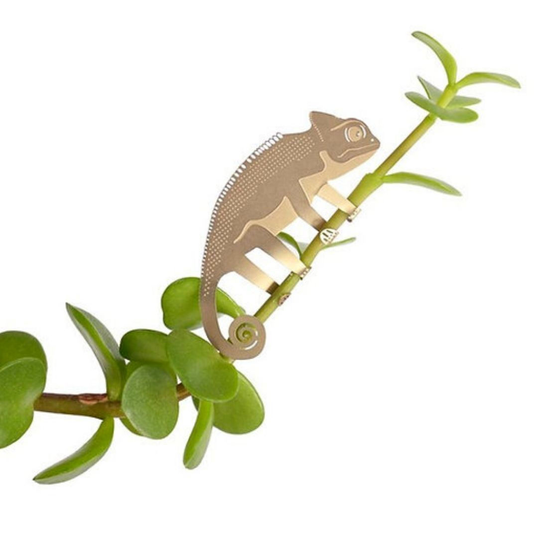 Bijou de plante "Caméléon" en laiton, à accrocher aux tiges, vendu chez Petites Séries boutique de créateurs à Tours