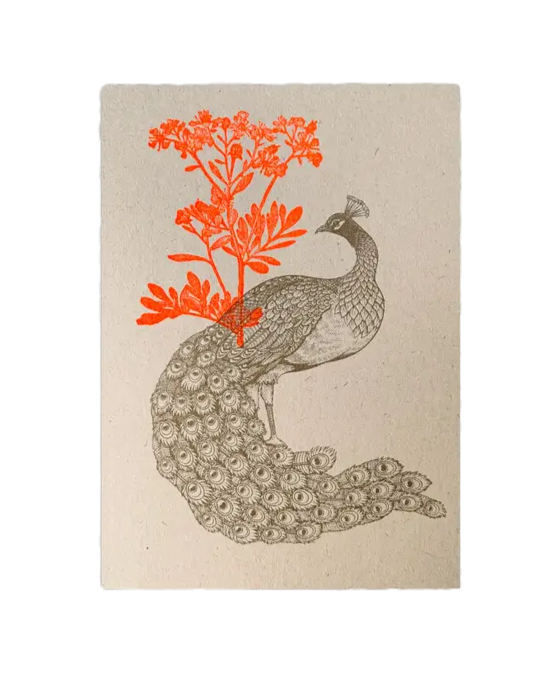 carte postale écologique paon bronze et fleurs orange fluo