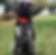 file-36.jpeg
