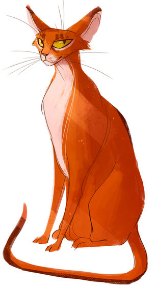 Corben Chat