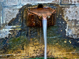 מעיין העוצמה של הרוח