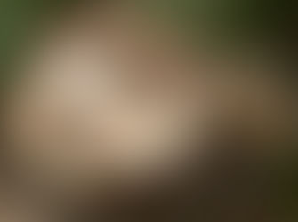 רגעים של יום חולין - במלחמה