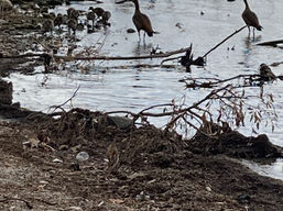 בין לבין - בין פסח לשבועות תשפ״ה