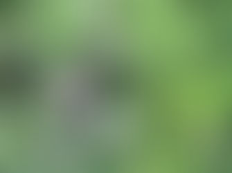 מחלוקות בשירות האנושות - הכל כלול - ר׳ נחמן