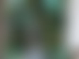 מלחמה ושלום - חנוכה תשפ״ב