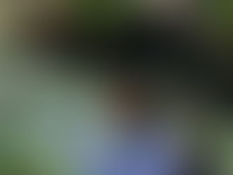 אל אשר תלכי אלך, עמך עמי ואלוהייך אלוהיי - קארמה בפעולה - טור לשבועות תשפ״ה