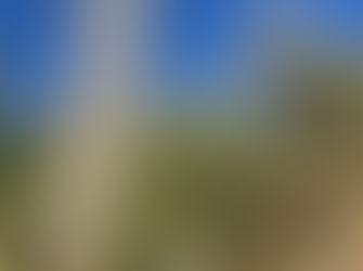 ״העבודה שכל עבודה אחרת אינה אלא הכנה לה״