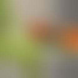 אם נא מצאתי חן בעיניך - הפוך על הפוך