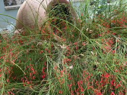 ״חפץ ותו לא בעיניו של זולתו״