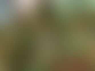 ״חפץ ותו לא בעיניו של זולתו״