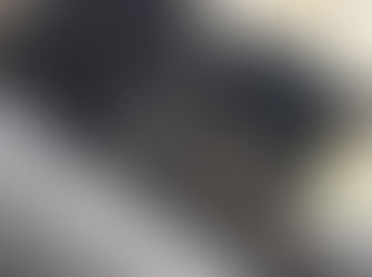 התבוננות אנתרופוסופית- האדם ובעלי החיים